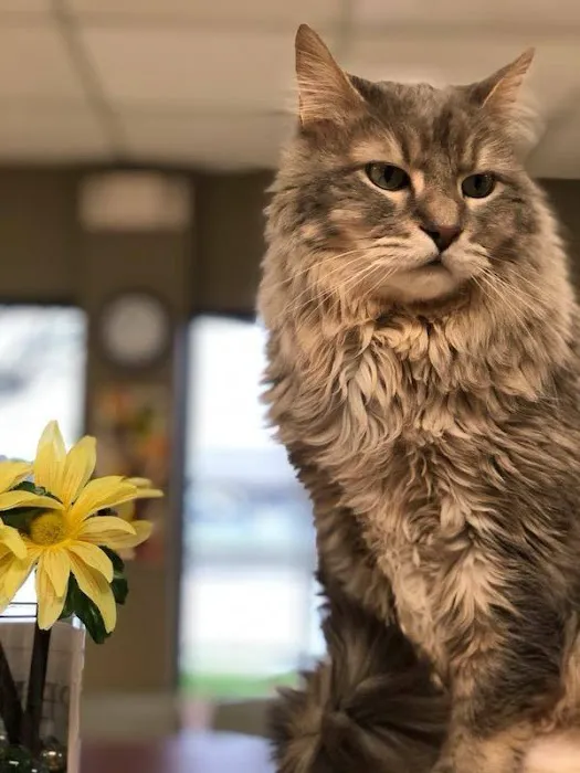 Conover Veterinary Hospital Picture 9
