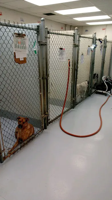 Conover Veterinary Hospital Picture 7