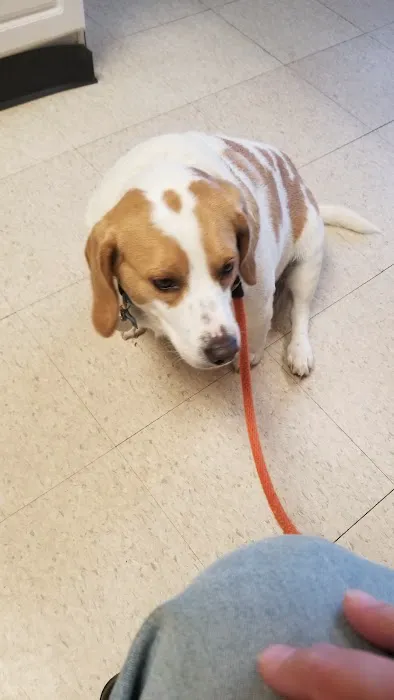 Conover Veterinary Hospital Picture 4