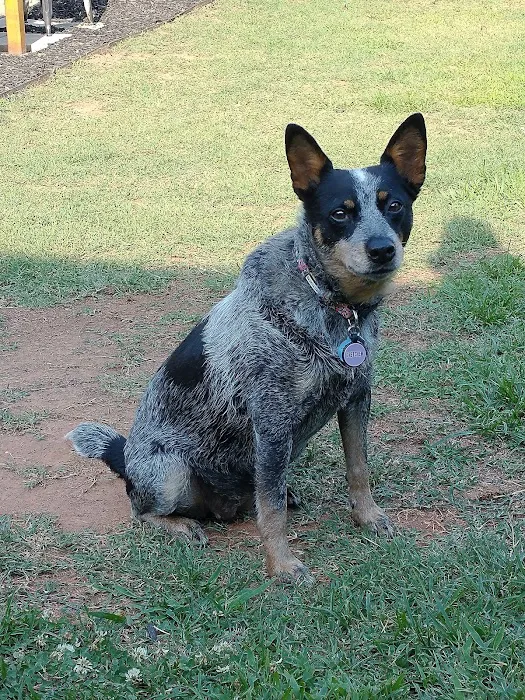 Aloha Veterinary Hospital Picture 10