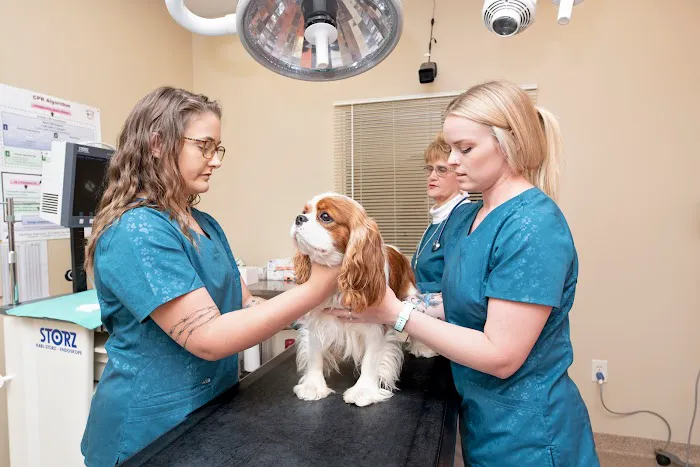Veterinary Hospital at the Lake Picture 3