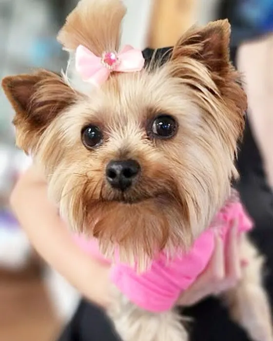 Plaza Animal Hospital Picture 4