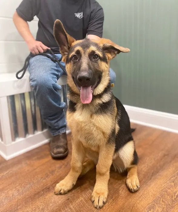 Plaza Animal Hospital Picture 9