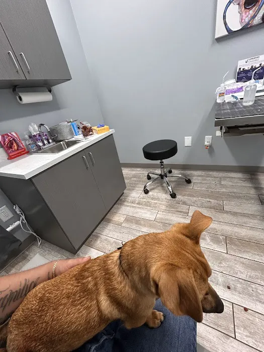 Harbor Point Animal Hospital Picture 7