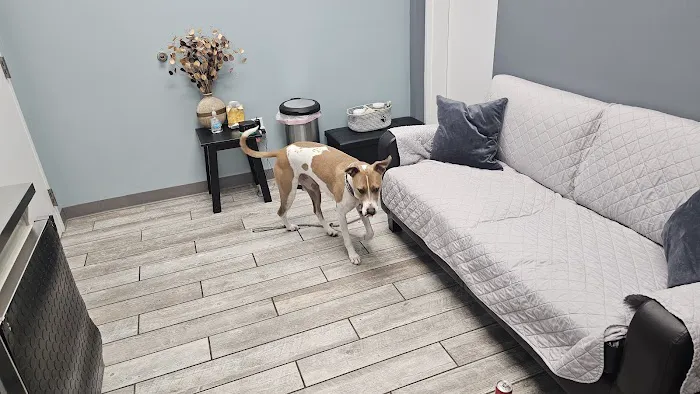 Harbor Point Animal Hospital Picture 4