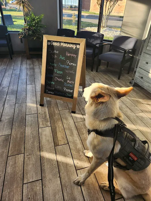 Harbor Point Animal Hospital Picture 2