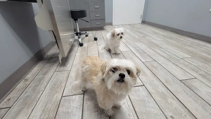Harbor Point Animal Hospital Picture 6