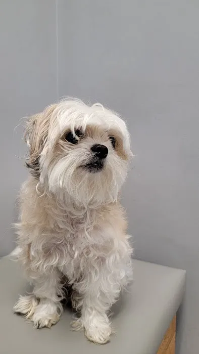 Harbor Point Animal Hospital Picture 3