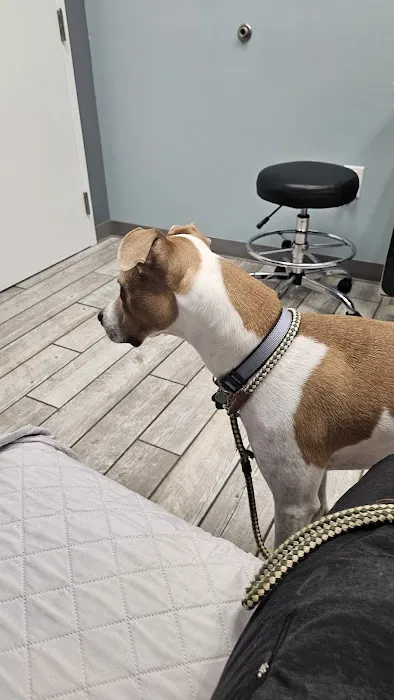 Harbor Point Animal Hospital Picture 5