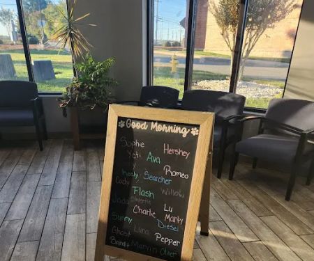 Harbor Point Animal Hospital