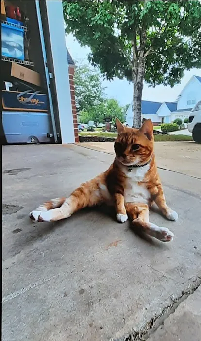 Stand For Animals Veterinary Clinic Picture 4