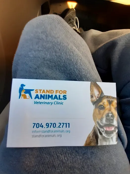 Stand For Animals Veterinary Clinic Picture 6