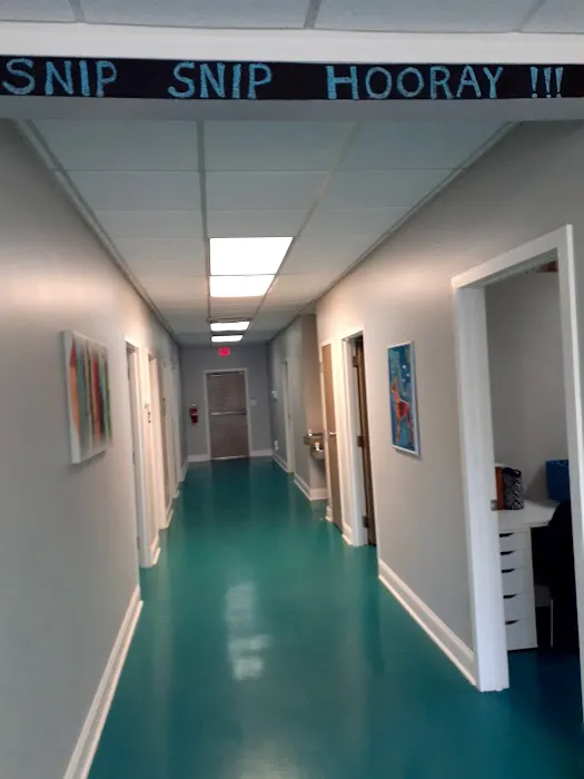 Stand For Animals Veterinary Clinic Picture 3