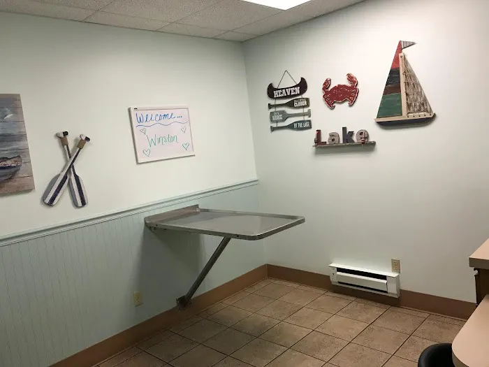 Village Animal Hospital Picture 3