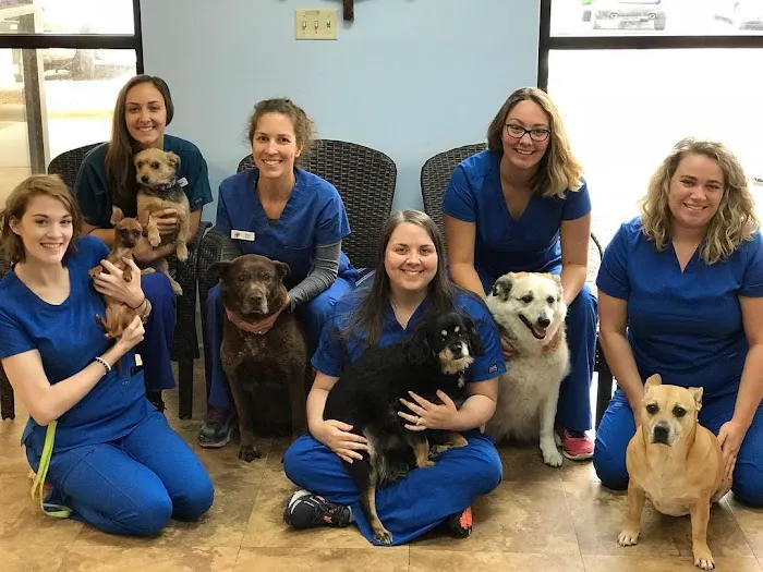 Village Animal Hospital Picture 6