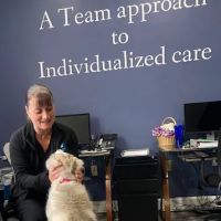 Lakewood Veterinary Hospital ico