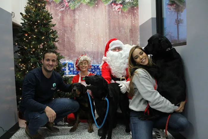 Lakewood Veterinary Hospital Picture 8
