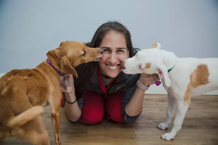 Lakewood Veterinary Hospital Picture 10