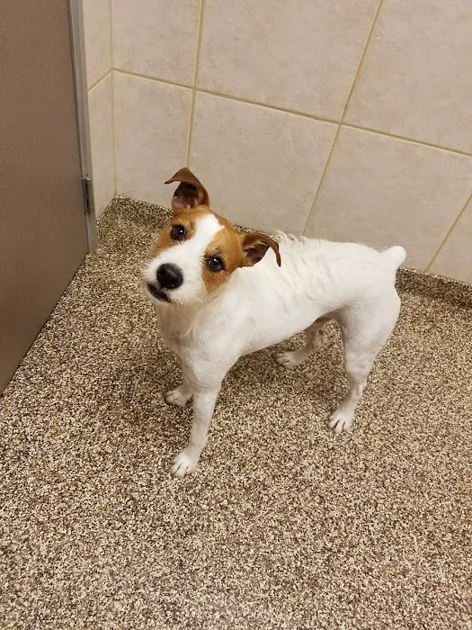 West Innes Animal Hospital Picture 8