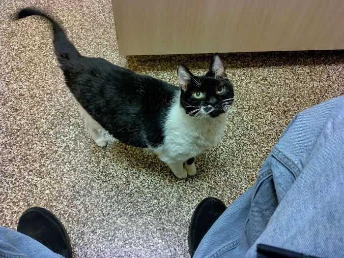West Innes Animal Hospital Picture 3