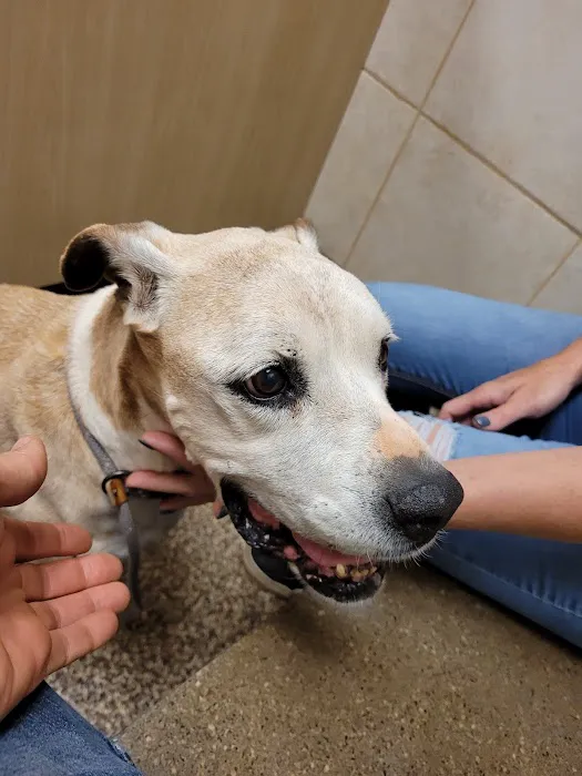 West Innes Animal Hospital Picture 5