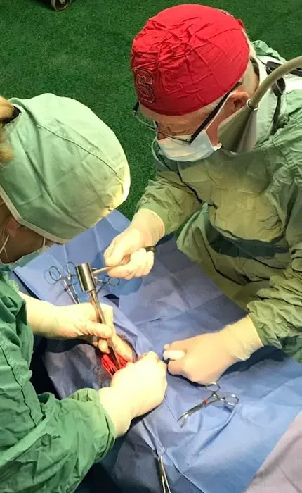 Large Animal Medicine and Surgery, PA Picture 6
