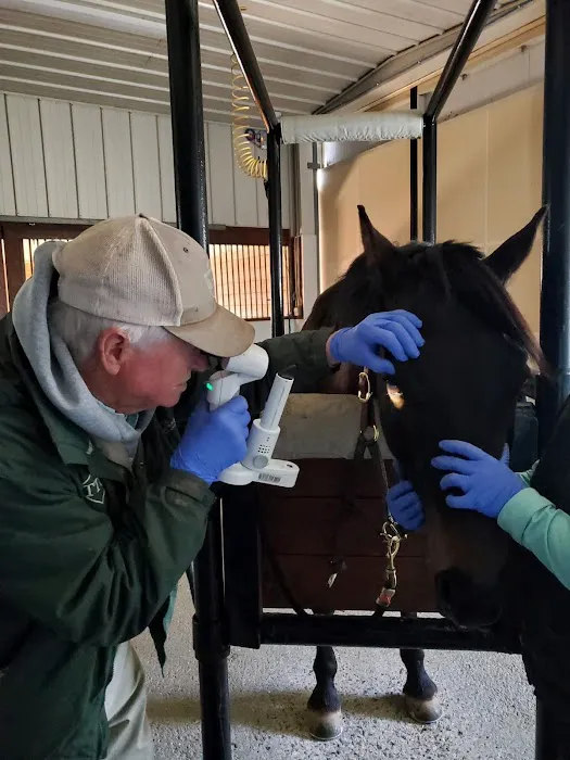 Large Animal Medicine and Surgery, PA Picture 7
