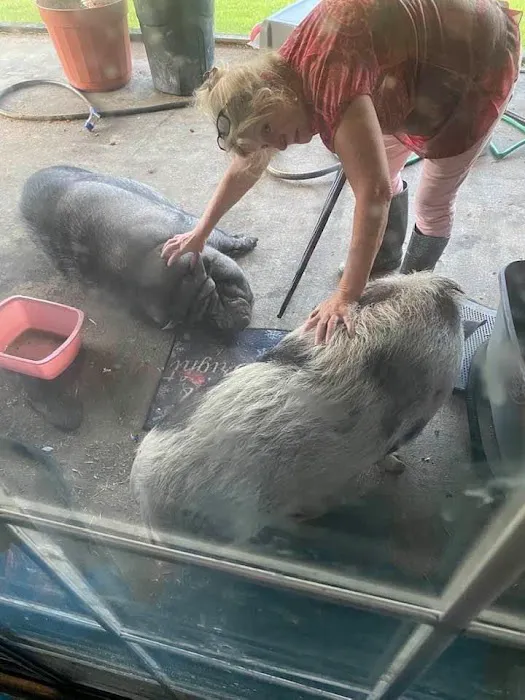 Large Animal Medicine and Surgery, PA Picture 4