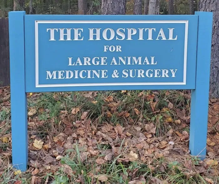 Large Animal Medicine and Surgery, PA Picture 9