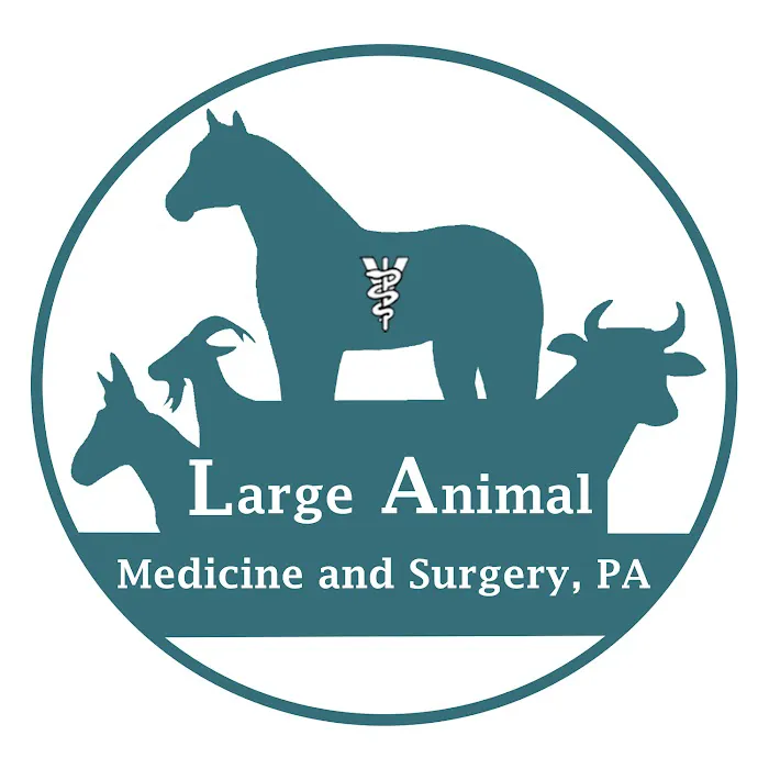 Large Animal Medicine and Surgery, PA Picture 8