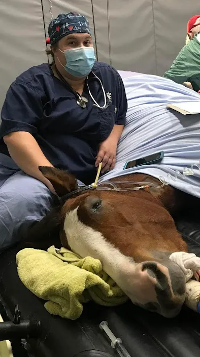 Large Animal Medicine and Surgery, PA Picture 2