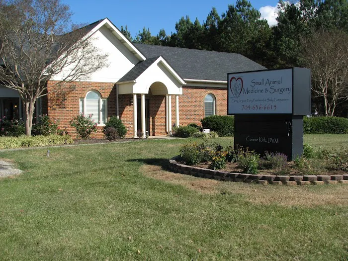 Small Animal Medicine & Surgery Picture 5