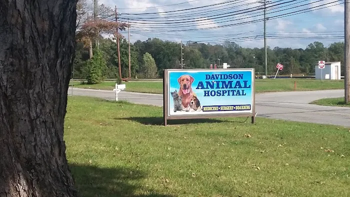 Davidson Animal Hospital Picture 6