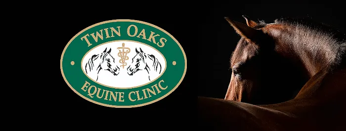 Twin Oaks Equine Clinic Picture 1