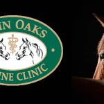 Twin Oaks Equine Clinic