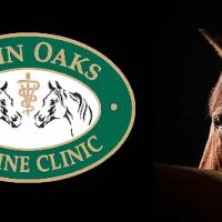 Twin Oaks Equine Clinic ico