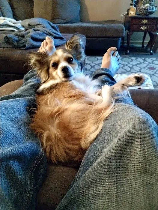 Lazy 5 Vets Picture 1