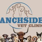 Ranchside Veterinary Clinic, Inc.
