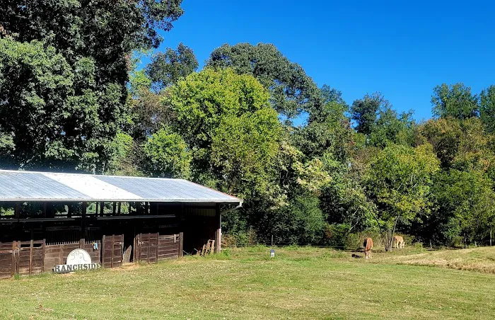 Ranchside Veterinary Clinic, Inc. Picture 6