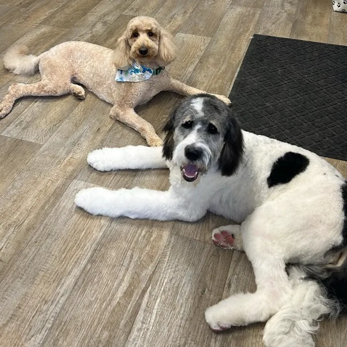 Ranchside Veterinary Clinic, Inc. Picture 9