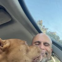 Animal Care Center of Salisbury: Dr. Tim Steinman ico