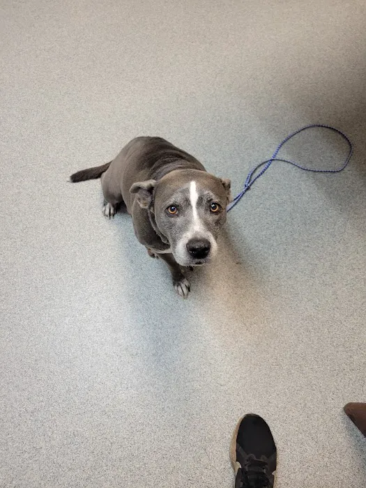 Thomasville Veterinary Hospital Picture 2