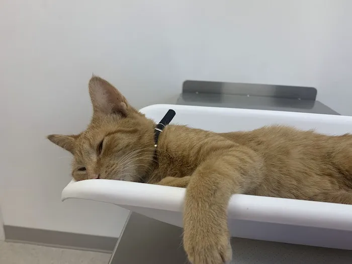 Creekside Veterinary Hospital Picture 9