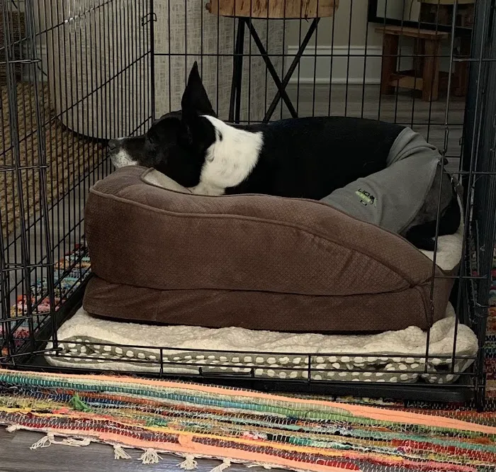 Heartwood Animal Hospital Picture 5