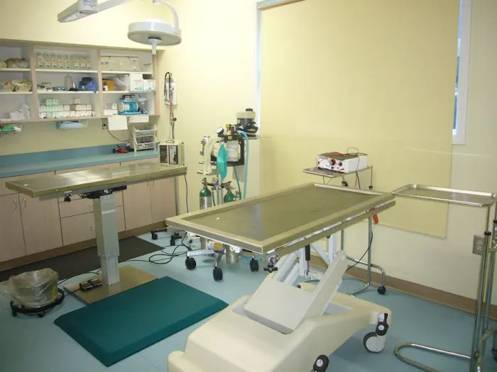 Heartwood Animal Hospital Picture 7