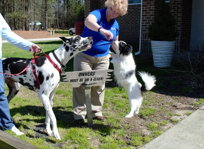 Heartwood Animal Hospital Picture 10
