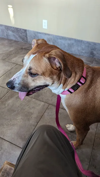 Louisburg Veterinary Hospital Picture 1