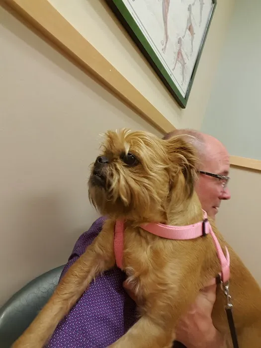 Complete Pet Care Animal Hospital at Heritage Picture 3