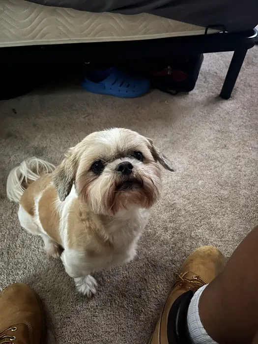 Kittrell Animal Hospital Picture 1