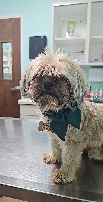 Kittrell Animal Hospital Picture 7